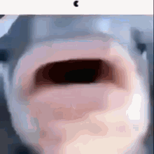 fish.gif