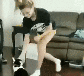 723045472590ae32221a8046c729ee6ab57d103d30e60348de86c84885280064.gif