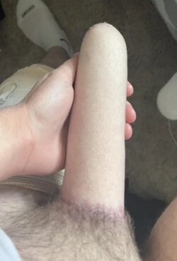 zn2b0cft3rua1.jpg