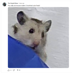 Screenshot (77) - Copy.png