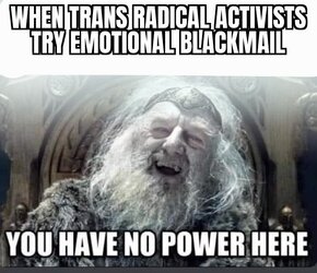 FuBgNtcXsAEJ4fx.jpeg