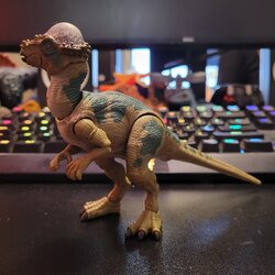 2016E84B-945F-4653-8848-D47FEF44B17F.jpeg