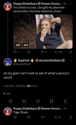 IMG_3936.jpeg