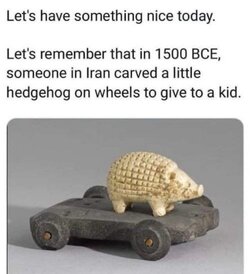 IMG_4037.jpeg