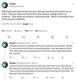 strypeNonsense1.png