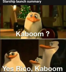 1682022215529.png