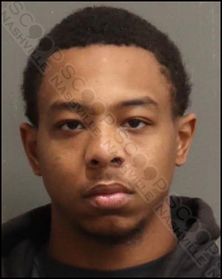 Mitarius-Boyd-MNPD.png
