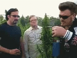 trailer-park-boys-sniff.gif