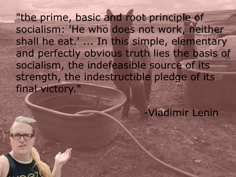 kevinlenin.png