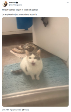 1682063016122.png