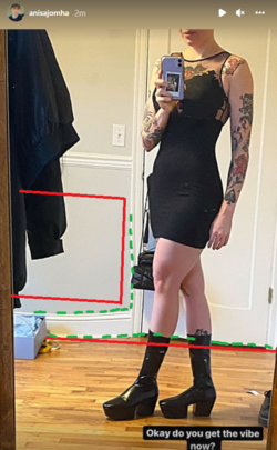shopped.png