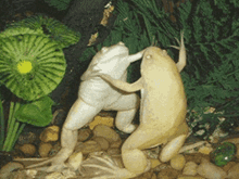 notminebtw.gif