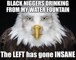 Funny Bird.jpg Funny Bird.jpg