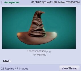 sortinghat.jpg