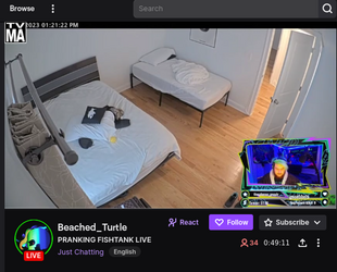 STREAM.png