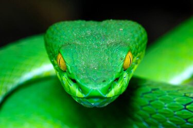 IMG_6047.jpeg