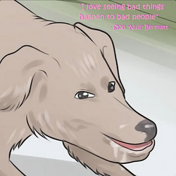 ilsbthtbp.png