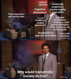 20230114_200332(1).png