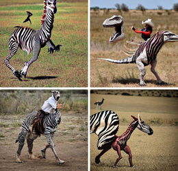 velociraptor cowboy riding a zebra.png
