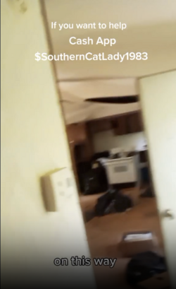 Screenshot 2023-04-25 at 1.07.19 AM.png