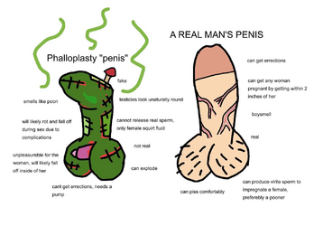 1682431635246.png