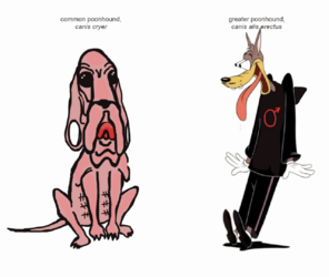 hound.png