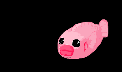 02mignah4qva1.png