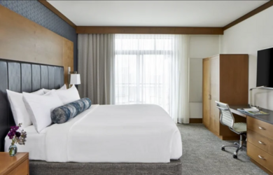 luxurysuite.png
