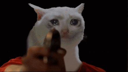 crying cat gun.gif