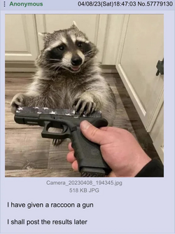 coony.png