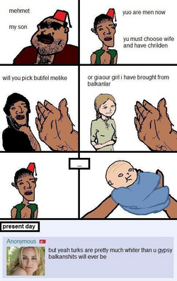 1682617259094.png