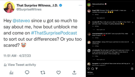 Screenshot 2023-04-27 at 15-14-04 That Surprise Witness (@thatsurprisewitness) Instagram.png