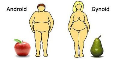 https___prod.static9.net.au___media_2016_06_01_15_40_androidgynoidobesity.jpg