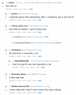 9.png