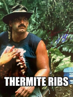 thermite-ribs-VID-Moment-2.jpg
