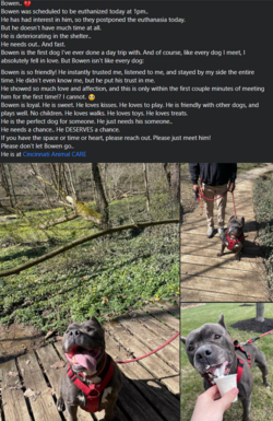 1682695152237.png