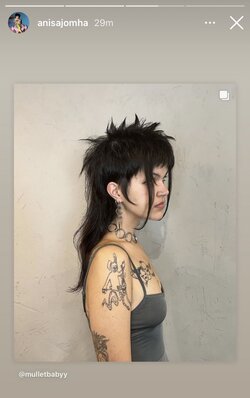 anisasnextlook.jpg