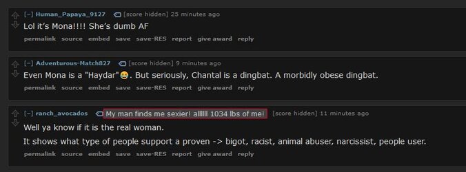 reddit comments.JPG