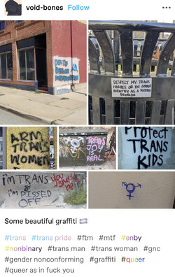 0DFB8287-D738-4867-8B77-357C439BABDE.jpeg