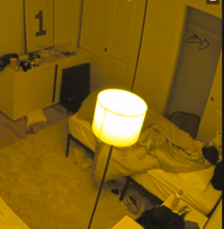 screenshot-www.fishtank.live-2023.04.29-00_33_06.png