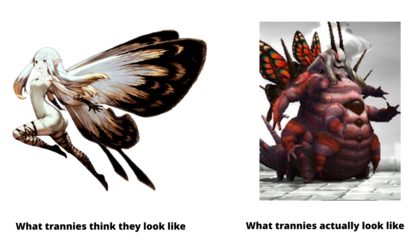 Airy Tranny.png