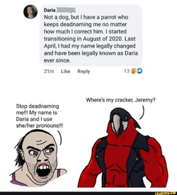 1682833231419.png