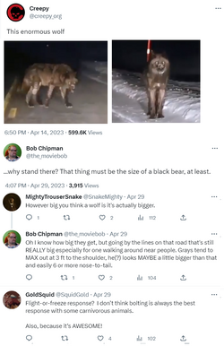 wolf.png