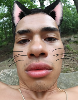 wi4of6l6lmi71.png