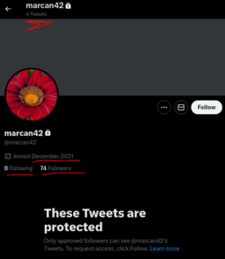 1.PNG