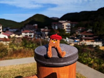 mini gondola travel.jpg