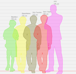Beardson Height Chart.png