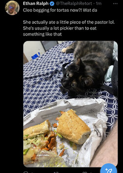 IMG_9455.jpeg