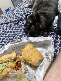 IMG_9456.jpeg