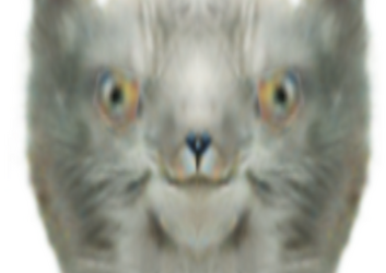 hispel00gs.png
